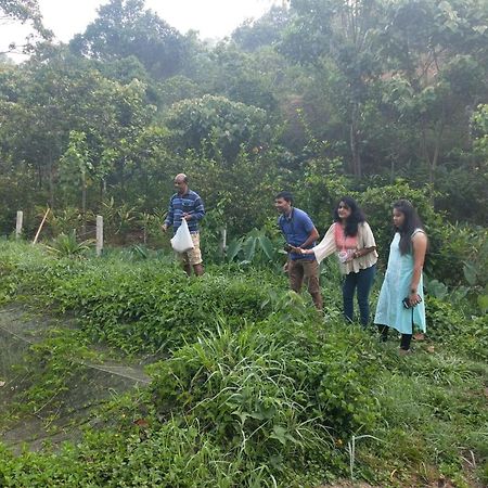 Friends Valley Home Stay Kattappana Extérieur photo