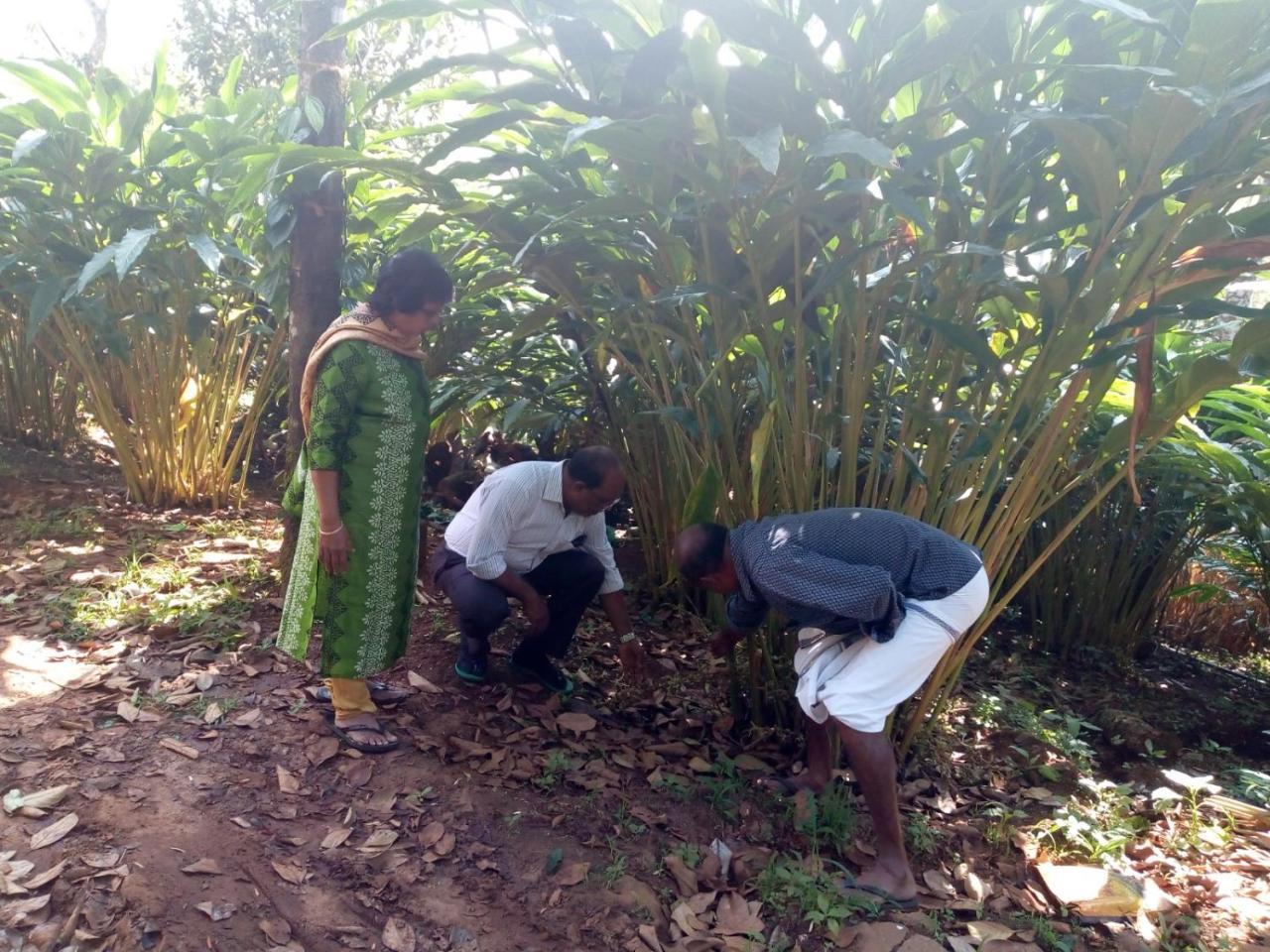 Friends Valley Home Stay Kattappana Extérieur photo