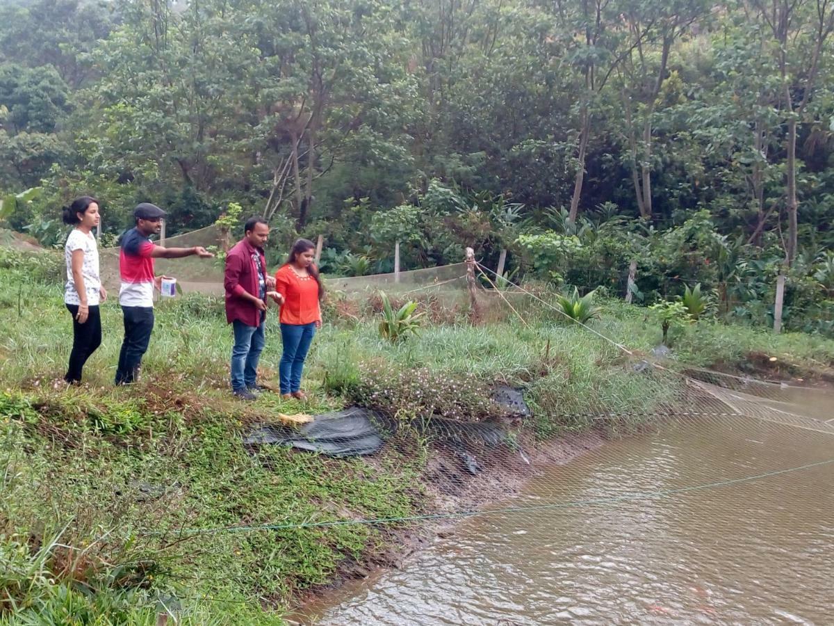Friends Valley Home Stay Kattappana Extérieur photo