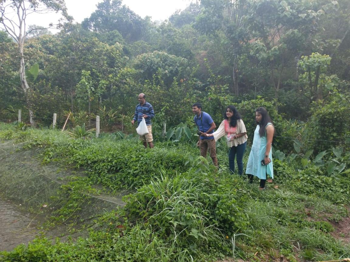 Friends Valley Home Stay Kattappana Extérieur photo